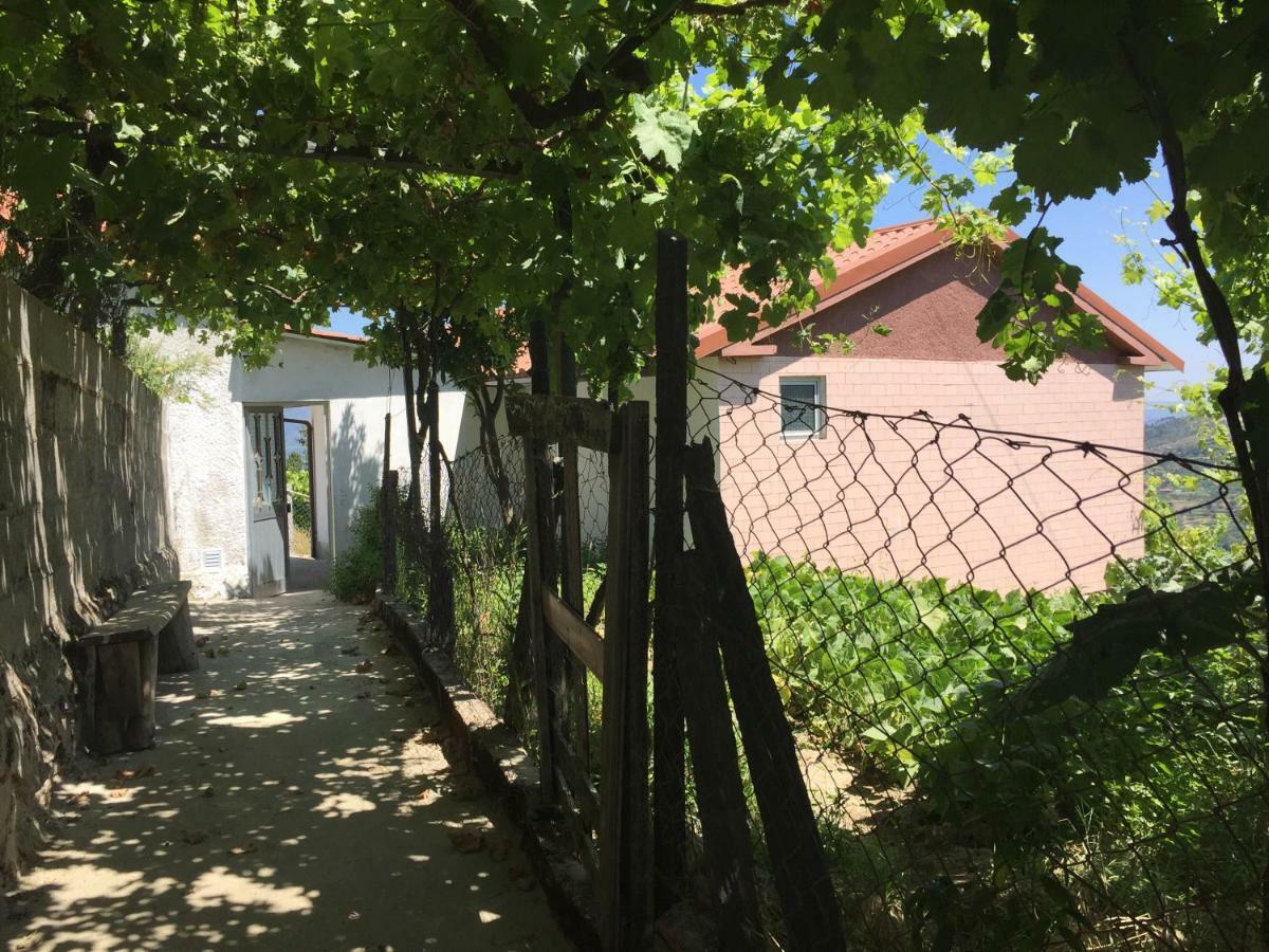 Alojamento Da Ribeirinha Carquere Buitenkant foto